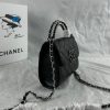TO – New Luxury Bags CHL 463