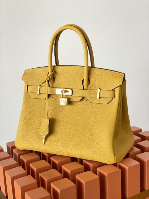 Hermes Birkin Nata Swift Yellow For Women Gold Toned Hardware 10in/25cm