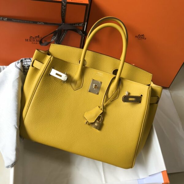 Hermes Birkin Lime Epsom With Gold Toned Hardware Bag For Women, Women’s Handbags, Shoulder Bags 30cm/12in