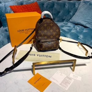 LV Palm Springs Mini Backpack Bag 22cm Monogram Canvas Spring/Summer Collection M41562, Brown