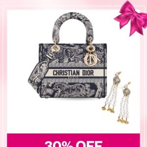 Love Set Christian Dior: Medium Lady D-Lite Bag + Rose Stamen Earrings – MassToneUS