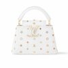 LOUIS VUITTON X MURAKAMI CAPUCINES MINI MULTICOLORED 27CM M14165